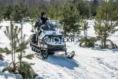Снегоход БТС Арктик - 4Т Люкс 29 л.с.. эл. запуск. реверс. тормоз. белый (машинокомплект)