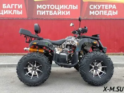 Квадроцикл Promax (Промакс) 320 DOMINATOR PRO (машинокомплект)