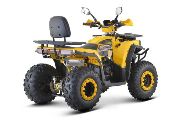 Квадроцикл FXMOTO (ФХмото) WASP 200 жёлтый (машинокомплект) | Мототека